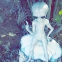 QELAlien