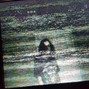 JAMES GREY - Swamp