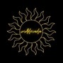 WSDE - Melodic Bru-C DnB Type Beat "Shine" - WSDE.170 