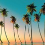 MK-Ultra - Palm Trees