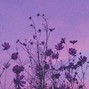 siimmywiththeheat - Lottery