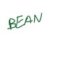 Walking Dog - Bean