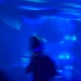 Nephew Hesh - pharmakon