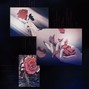 RAPIDS - ROSE
