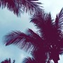 TOMMY BLXNCO - Ocean Grown