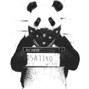 Besomorph - Panda
