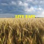 FURY AMPS - Live Easy