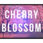 Starwixx - Cherry Blossom