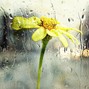 puh-GEEZ - MAY SHOWER 