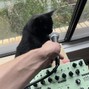 oliver_01 - cagelock