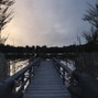 oliver_01 - spinner