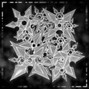 ADVLT - SHURIKEN