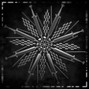 ADVLT - EXCESS