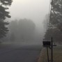 vinben - silent hill