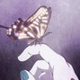 oribeloved - butterfly
