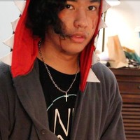 dog motif