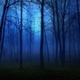 realmalikross - blue forest