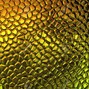 Shy Martian - Alien Texture
