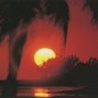 Kedith - Pleasure