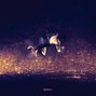 Azul - WHITE GLIST
