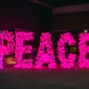 cieslar.dariusz - Peace