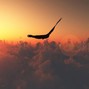Rezonvns music - free in time