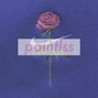 AVNGR - pointlss