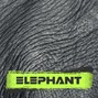 Da Cupule - Elephant