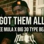 heshfool - Dee Mula x Big30 | Memphis Type Beat - "Got Them All"