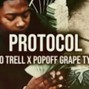 heshfool - Babyceo Trell x Popoff Grape | Memphis Type Beat - "Protocol"