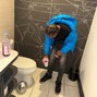 taehuncho - dunwoody