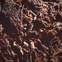 joseph_carpenter10 - Down And Dirty