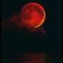 Venerated beats  - Red October 