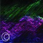 Cellart - * Lil Pump Type Beat * - " PURPLE BANG " - 110 BPM