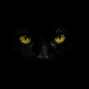 Benjhee - [FREE] Trap Type Beat - BlackOut
