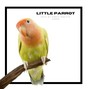 erkrathbeats - LITTLE PARROT
