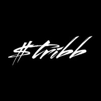 B Stribb