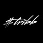 B Stribb - Drip Season