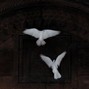 prodslipp - Doves