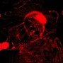 Neonsaint1 - Astra or whatever