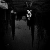Joa Rip