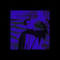 YRMuse