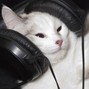 tranced! - 2HUNDRED (d major) 