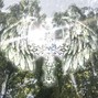 tranced! - dreading (a major) 