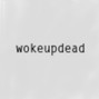 wokeupdead - lovergirl (real guitar played by me)