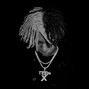 XTR - POP