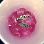 Waynes VVorld - In my cup