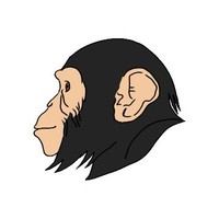 Big Monke Beats