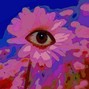 fal0lpa8 - Flower