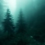 wh1tespace - reflection